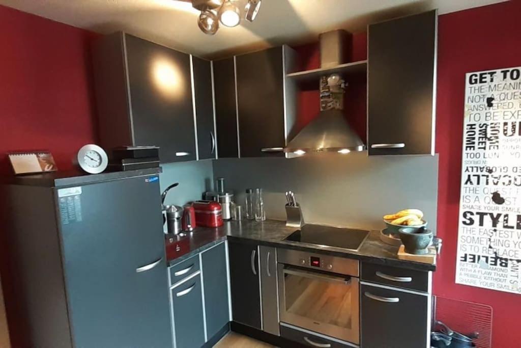 Appartement centre ville, Parc Olympe de Gouges Annemasse Extérieur photo