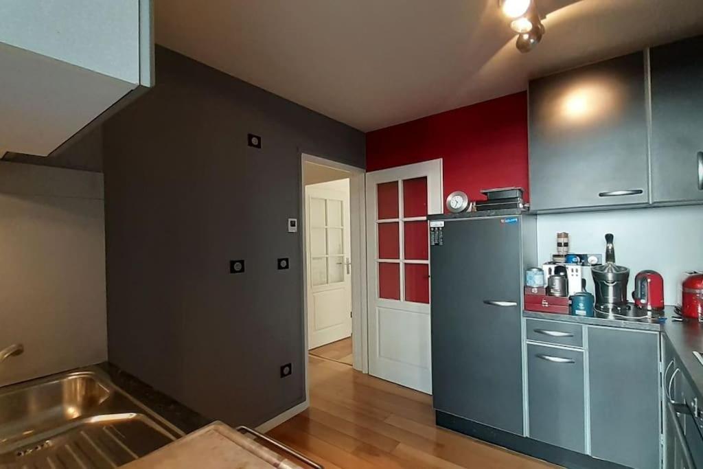 Appartement centre ville, Parc Olympe de Gouges Annemasse Extérieur photo